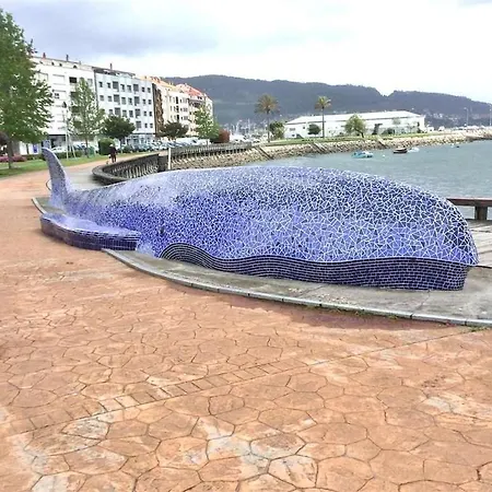 Andurina * Moaña